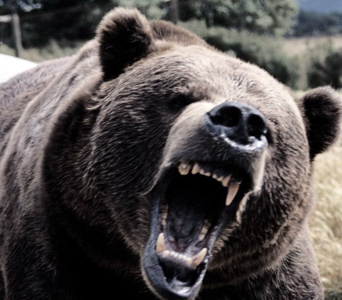 Maybe your life sucks- But... You haven't met me yet :)