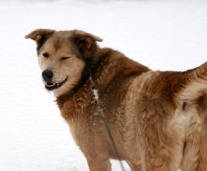 IMG_0428 Call me "Doom"....