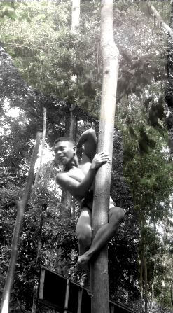 Predation from Above...