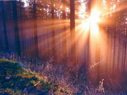 Abandon Not- Hope ....