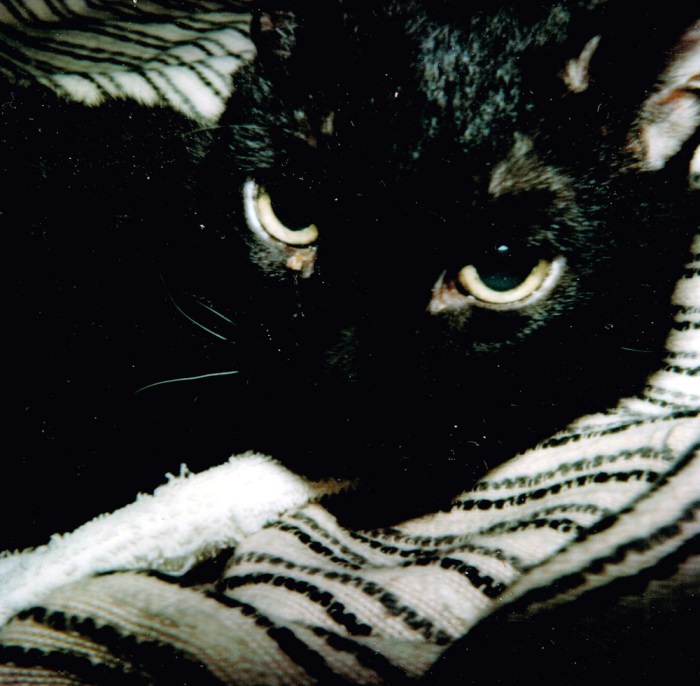 CSS Frank Aprile- 06142014_0035