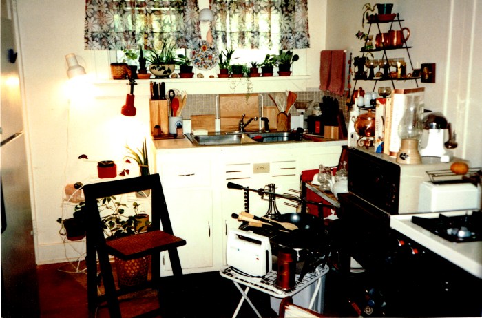 Kitchen 2